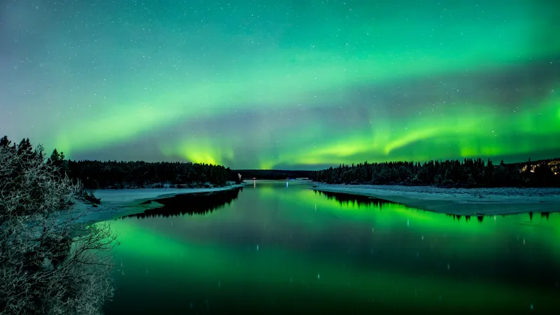 The discount Northern Lights (Aurora Borealis)