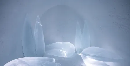 Seeds made of ice